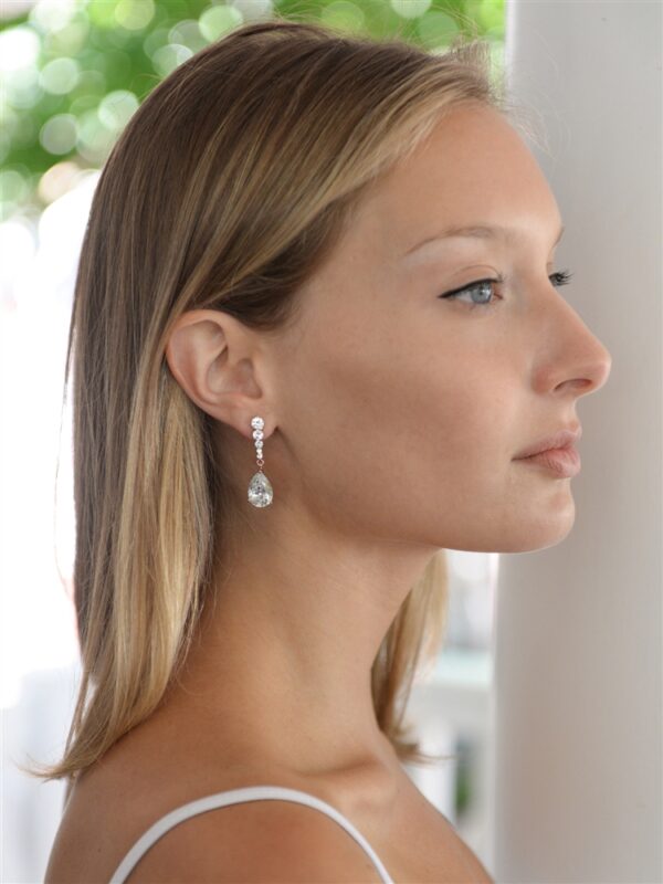 Earrings 3677E-RG - Image 4