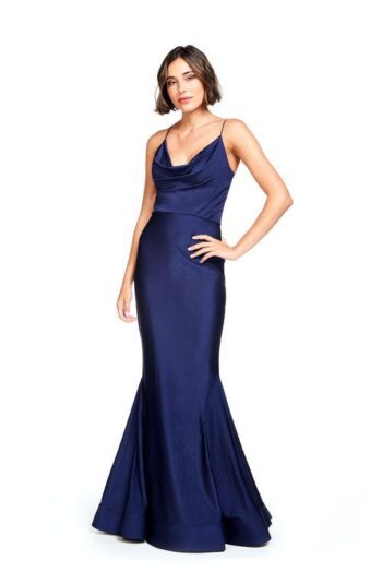 Bari Jay Bridesmaid Dresses?Bridesmaid Dress Style No. 2007